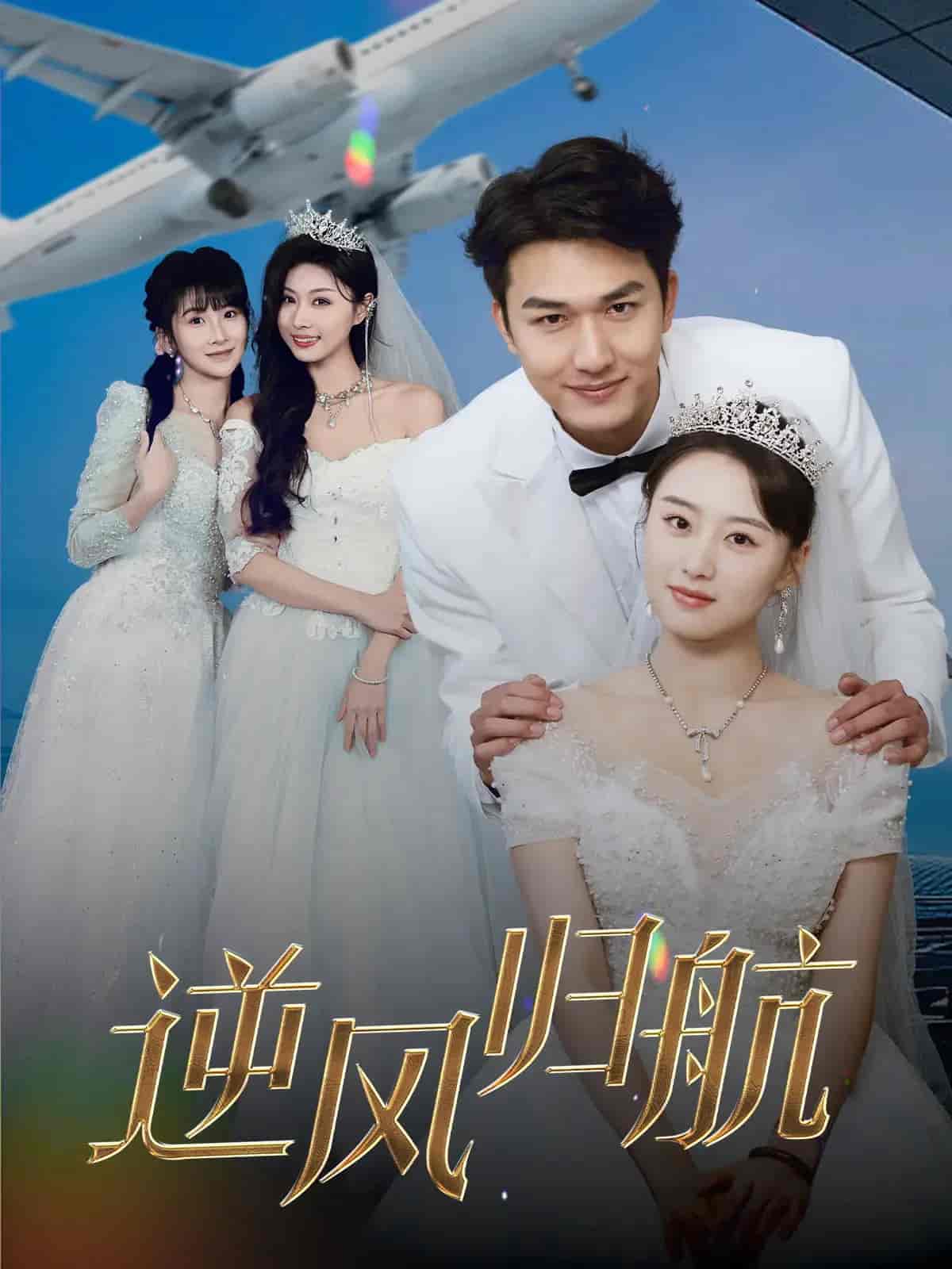 逆风归航(全集)