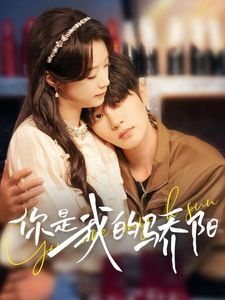 你是我的骄阳 第061-090集